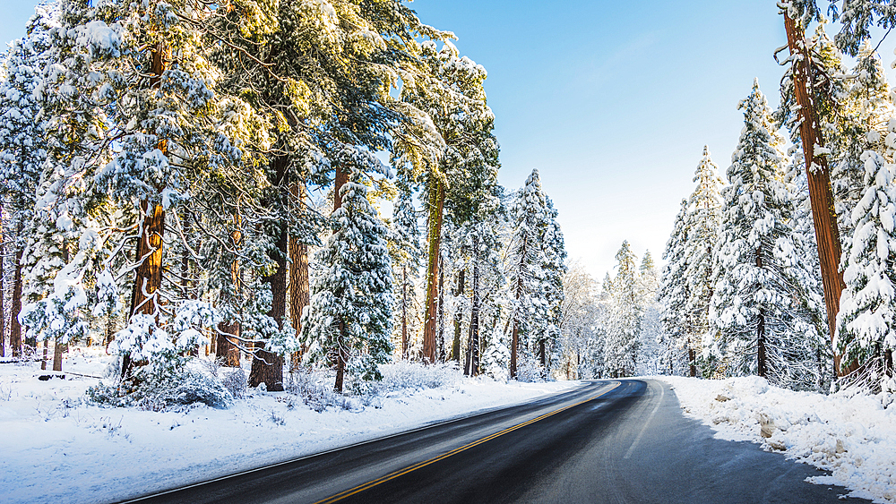 Highway in winter snow