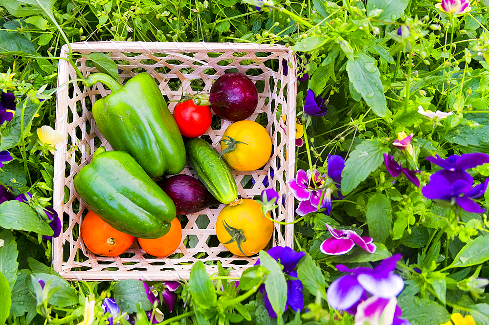 Close up of basket of fresh vegetables on flowers