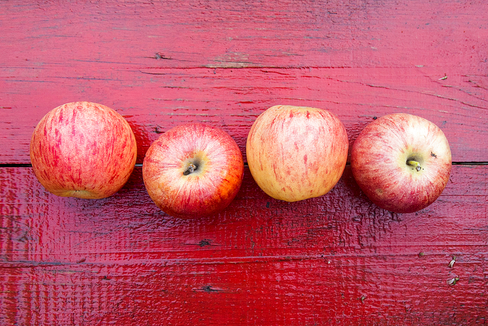 Close up of row of red apples on red wooden table