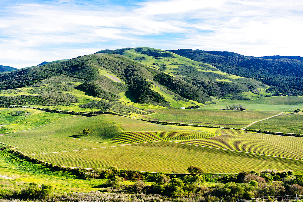 Scenic view of green rolling landscape