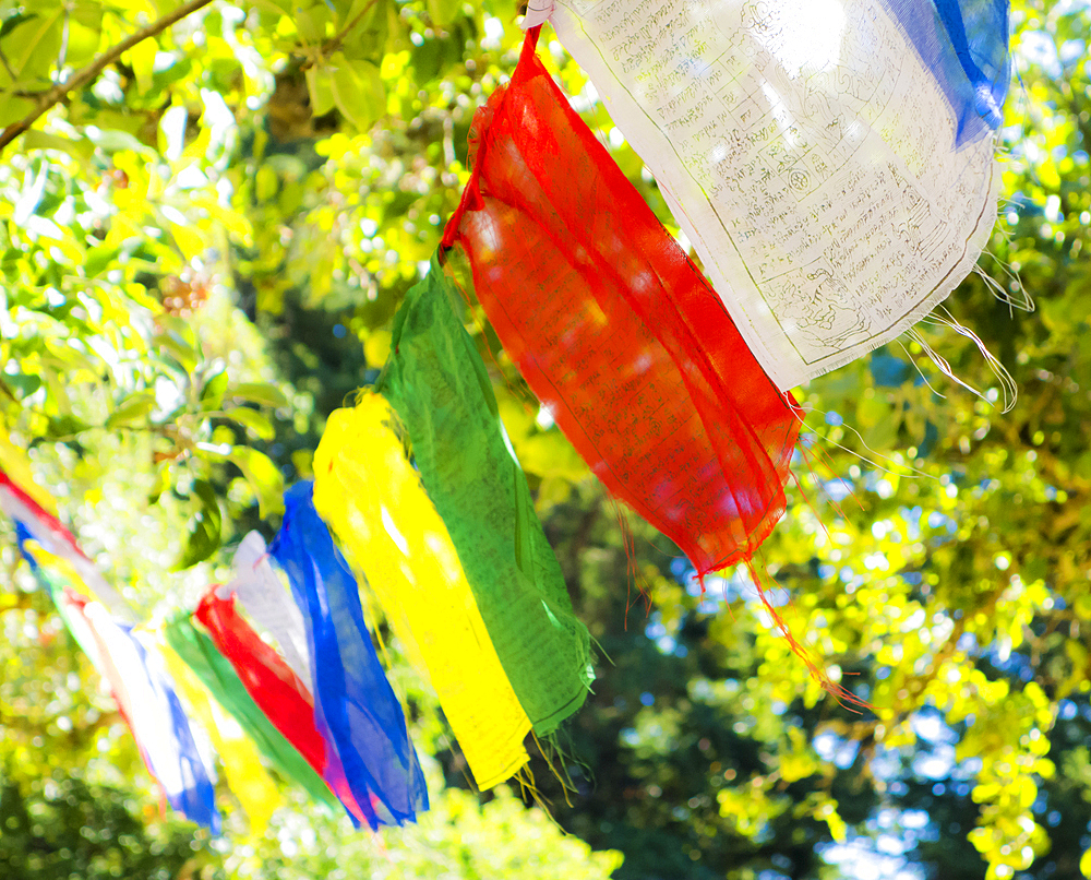 Prayer flags hanging in tree