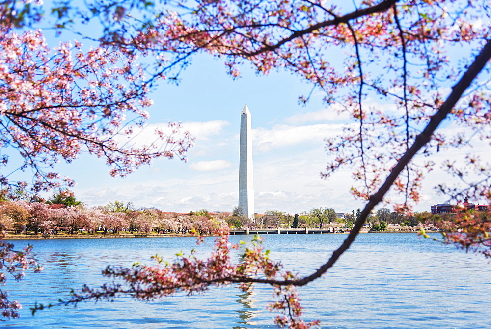 Distant Washington Monument, Washington, District of Columbia, United States,