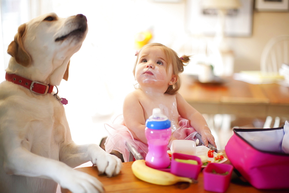 Caucasian girl and dog eating at table