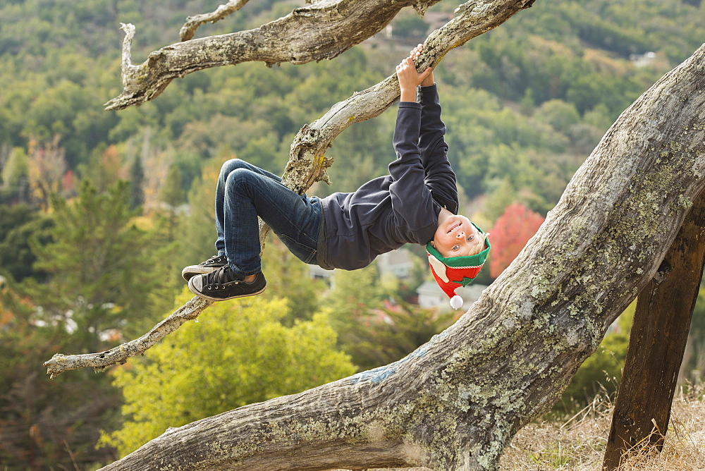 Caucasian boy hanging upside-down on tree branch