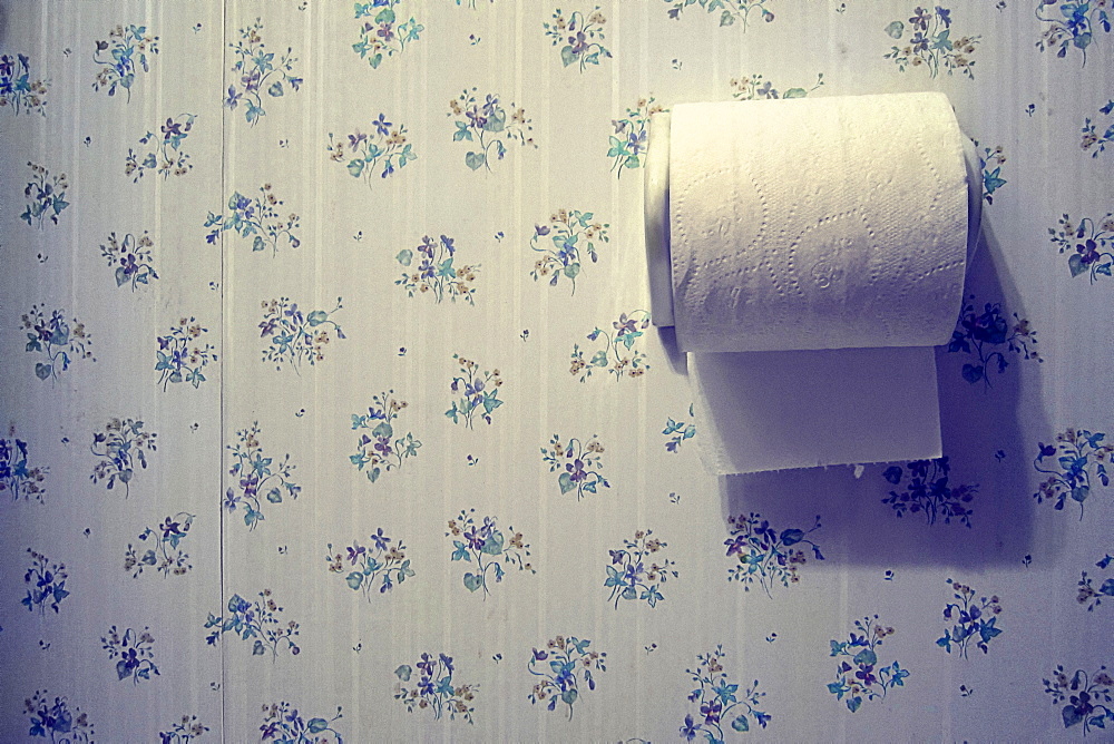 Toilet paper and wallpaper