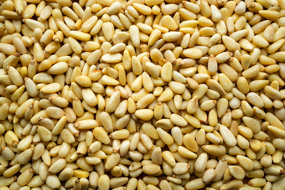 Pile of pine nuts