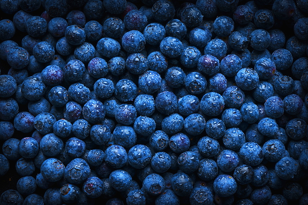 Pile of fresh wet blueberries