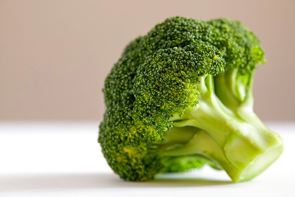 Studio shot of broccoli