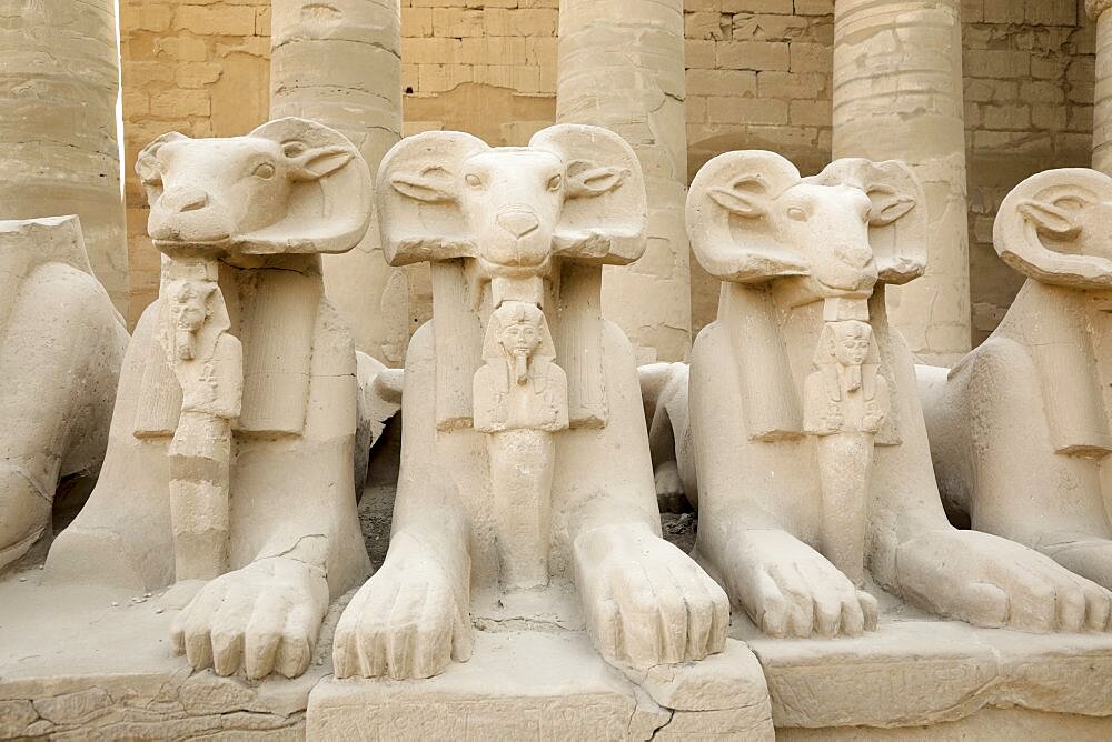 Egypt, Luxor, Animal statues at Temple of Karnak