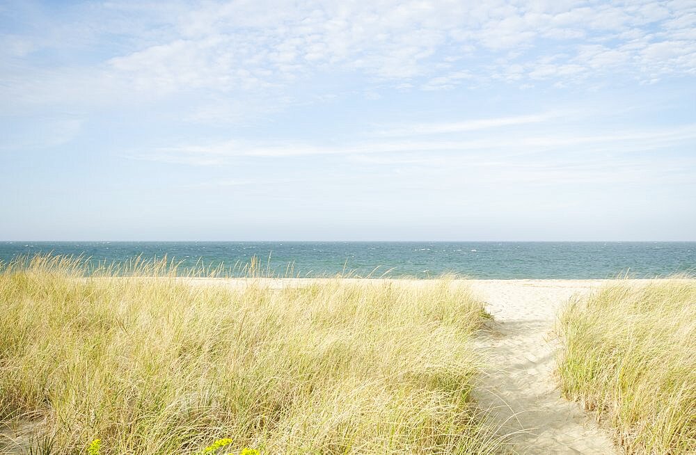 USA, Massachusetts, Cape Cod, Nantucket Island, Footpath on Siasconset Beach with marram grass