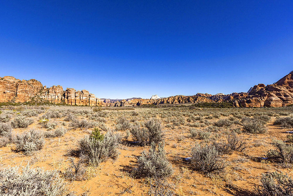 United States, Utah, Zion National Park, Sandstone rock formation