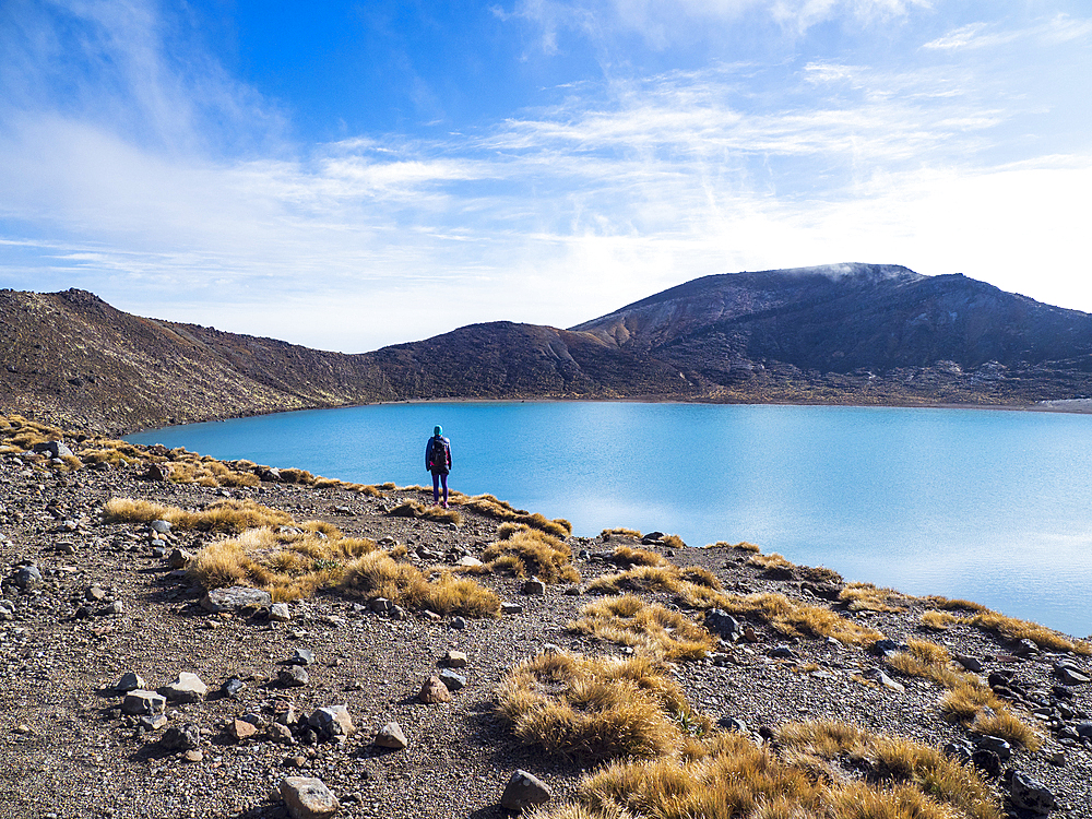 New Zealand, Waikato, Tongariro National Park, Hiker standing by lake in Volcanic landscape