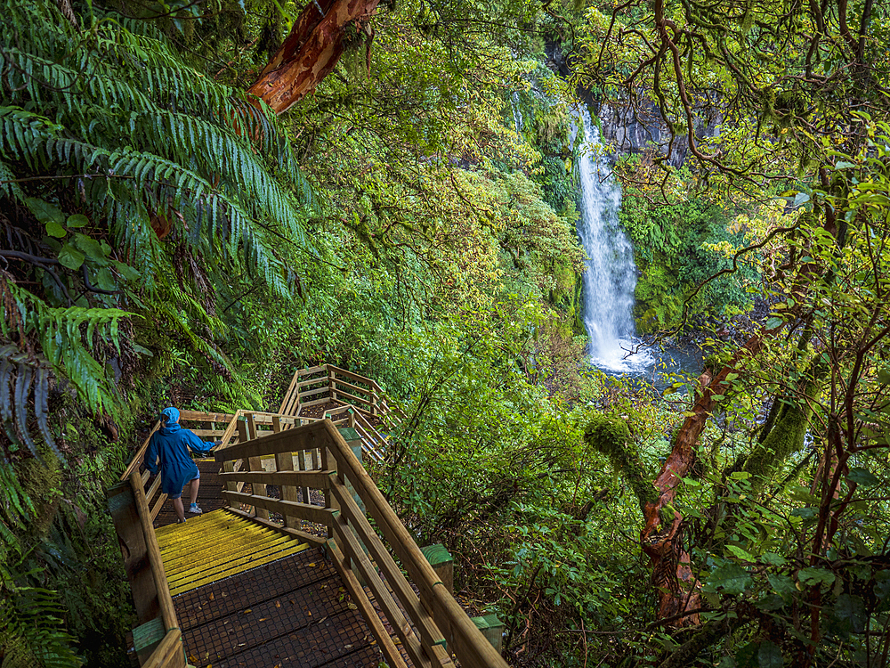 New Zealand, Taranaki, Egmont National Park, Hiker walking down wooden stairs towards waterfall