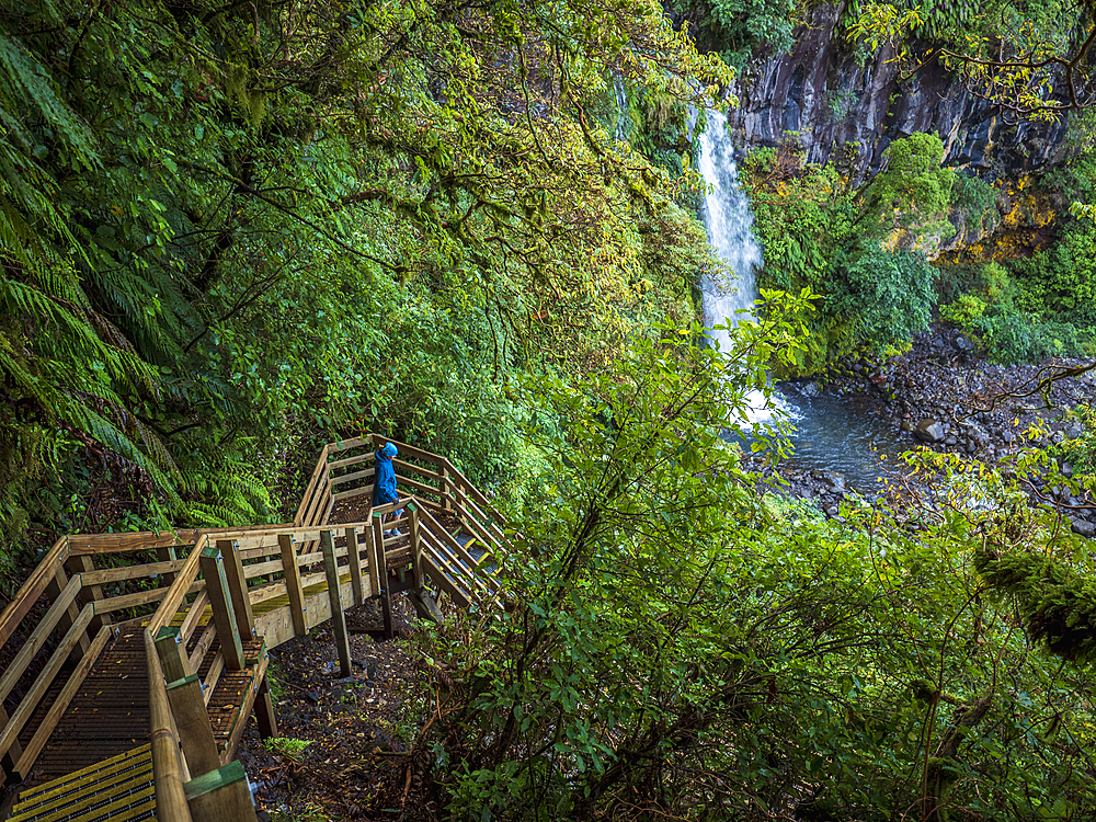 New Zealand, Taranaki, Egmont National Park, Hiker walking down wooden stairs towards waterfall