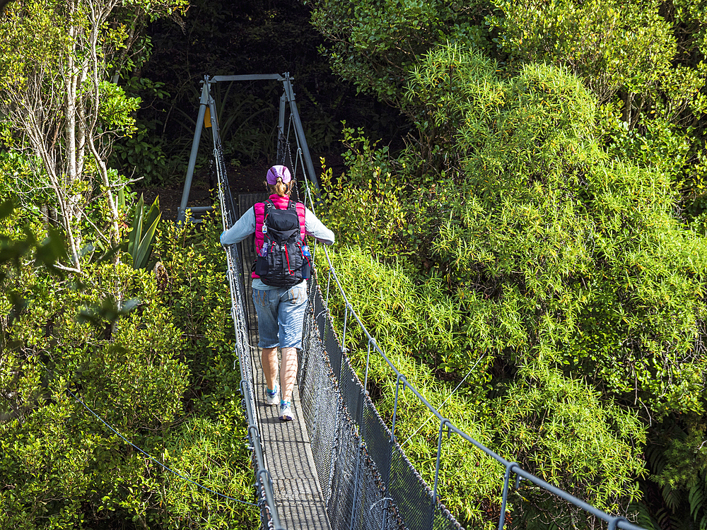 New Zealand, Taranaki, Egmont National Park, Hiker walking on rope bridge in forest