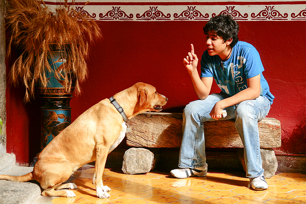 Boy (16-17) sitting on stone bench and gesturing to dog 