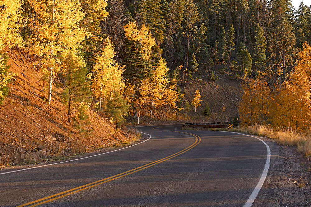 Usa, New Mexico, Santa Fe, Road and trees in Fall colors in Sangre De Cristo Mountains