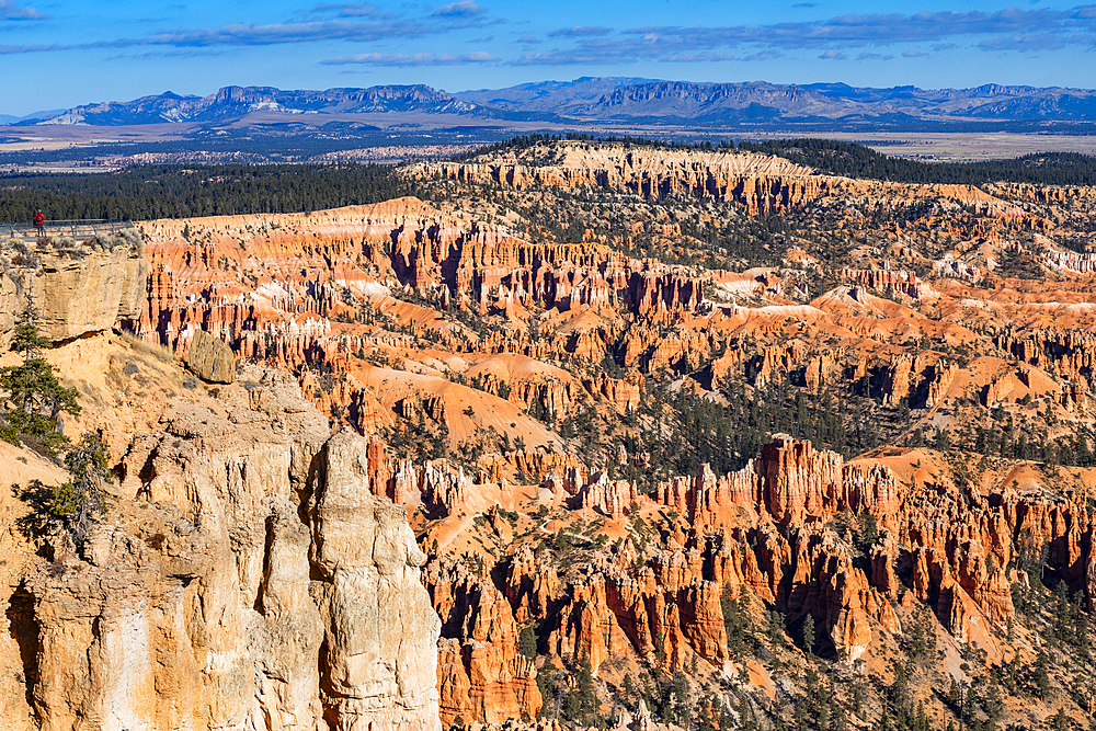 Sandstone rock formations in Bryce Canyon National Park