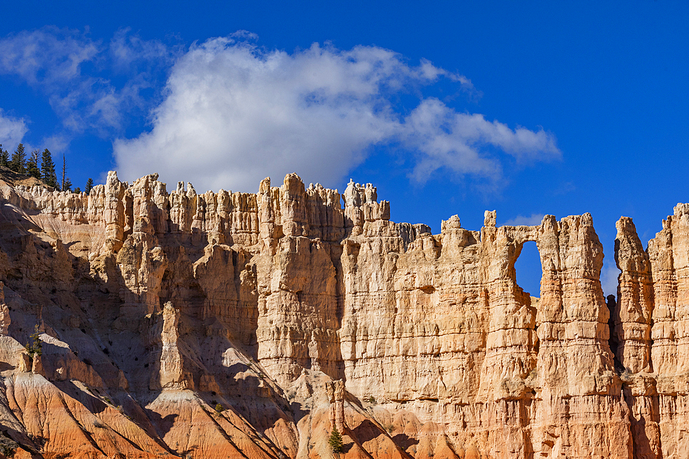 Sandstone rock formations in Bryce Canyon National Park