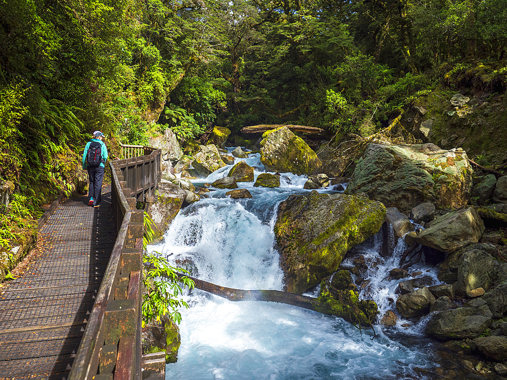 Rear view of hiker crossing footbridge over creek in Fiordland National Park