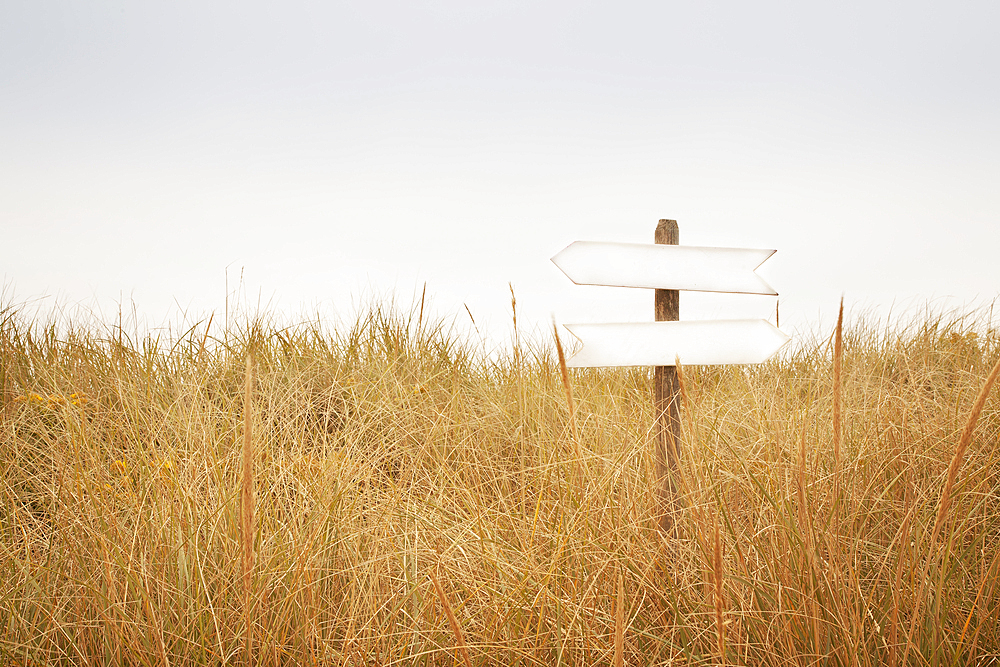 Signpost with blank arrow signs in field of grass
