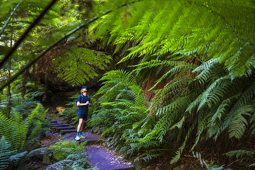 Young man with camera hiking in Grand Canyon Blackheath, Blackheath, New South Wales, Australia