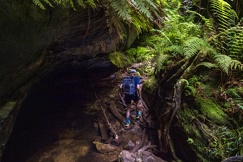 Rear view of young male hiker exploring Grand Canyon Blackheath, Blackheath, New South Wales, Australia