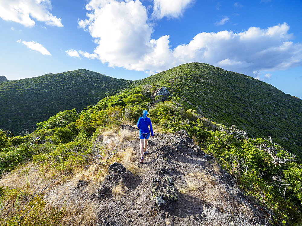 Rear view of female hiking on Lord Howe Island, Lord Howe Island, New South Wales, Australia