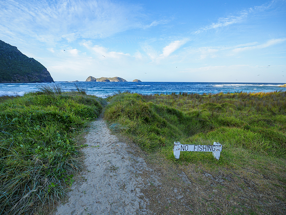 Pathway leading down to Neds Beach, Lord Howe Island, New South Wales, Australia