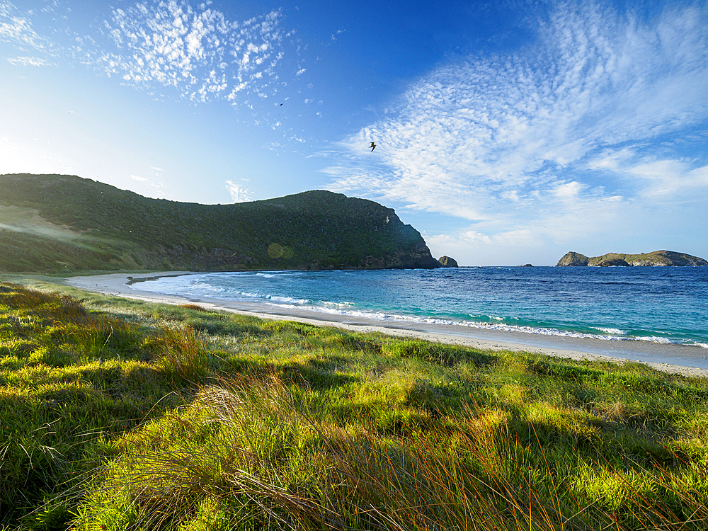 Empty Neds Beach at sunset, Lord Howe Island, New South Wales, Australia