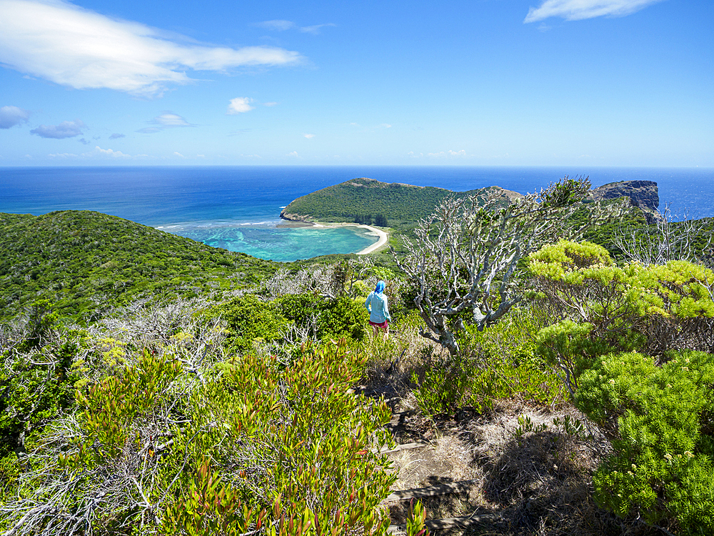 Woman hiking on Lord Howe Island, Lord Howe Island, New South Wales, Australia