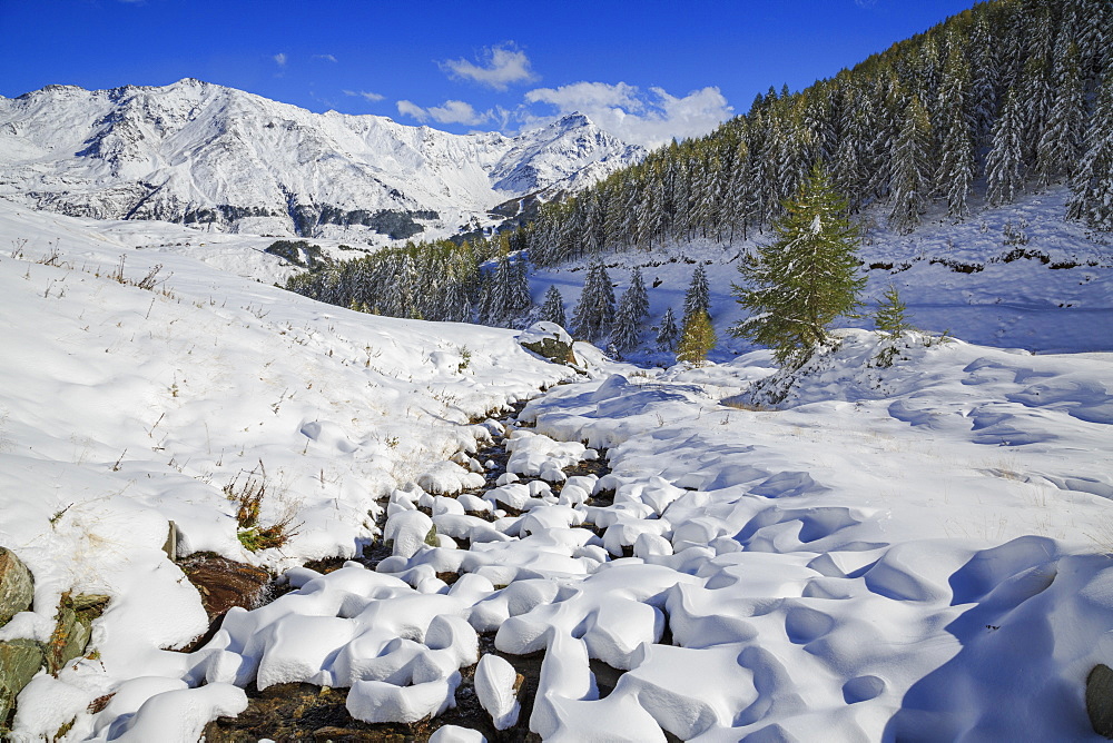 Aerial view of the snowy woods and high peaks, Vamlera, Febbraro Valley, Spluga Valley, Valtellina, Lombardy, Italy, Europe