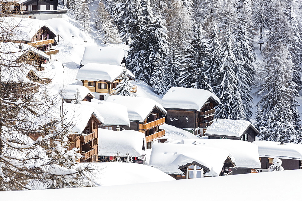 The snowy woods frame the typical mountain huts, Bettmeralp, district of Raron, canton of Valais, Switzerland, Europe