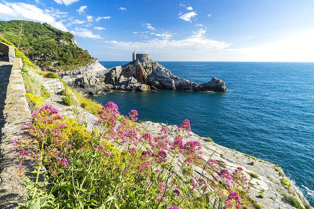 Flowers and blue sea frame the old castle and church on the promontory, Portovenere, UNESCO World Heritage Site, La Spezia Province, Liguria, Italy, Europe