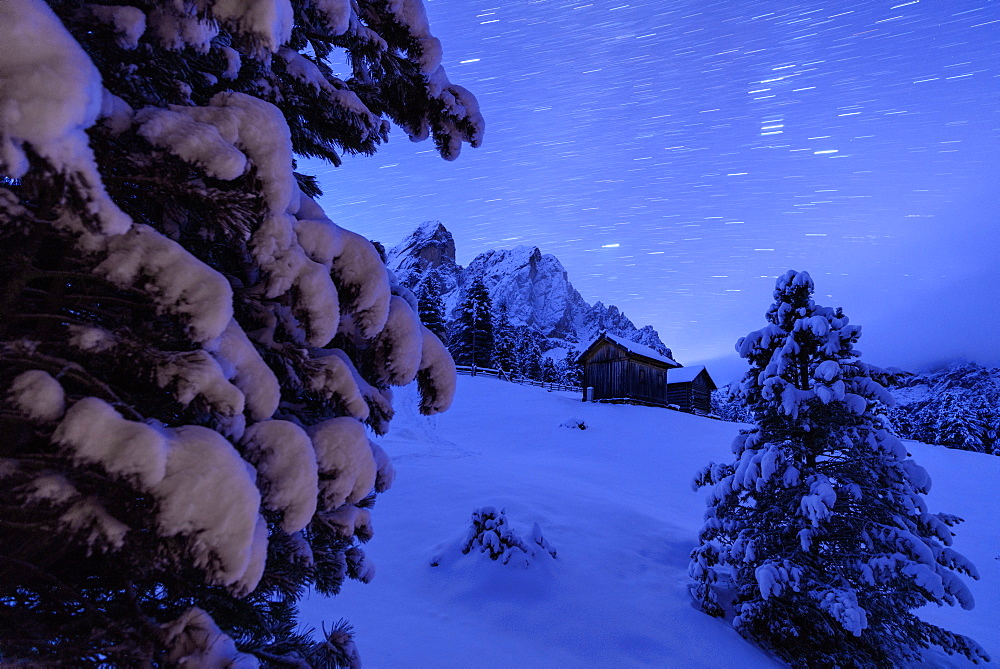 Star trail and snowy trees frame the wooden hut and Sass De Putia, Passo Delle Erbe, Funes Valley, South Tyrol, Italy, Europe