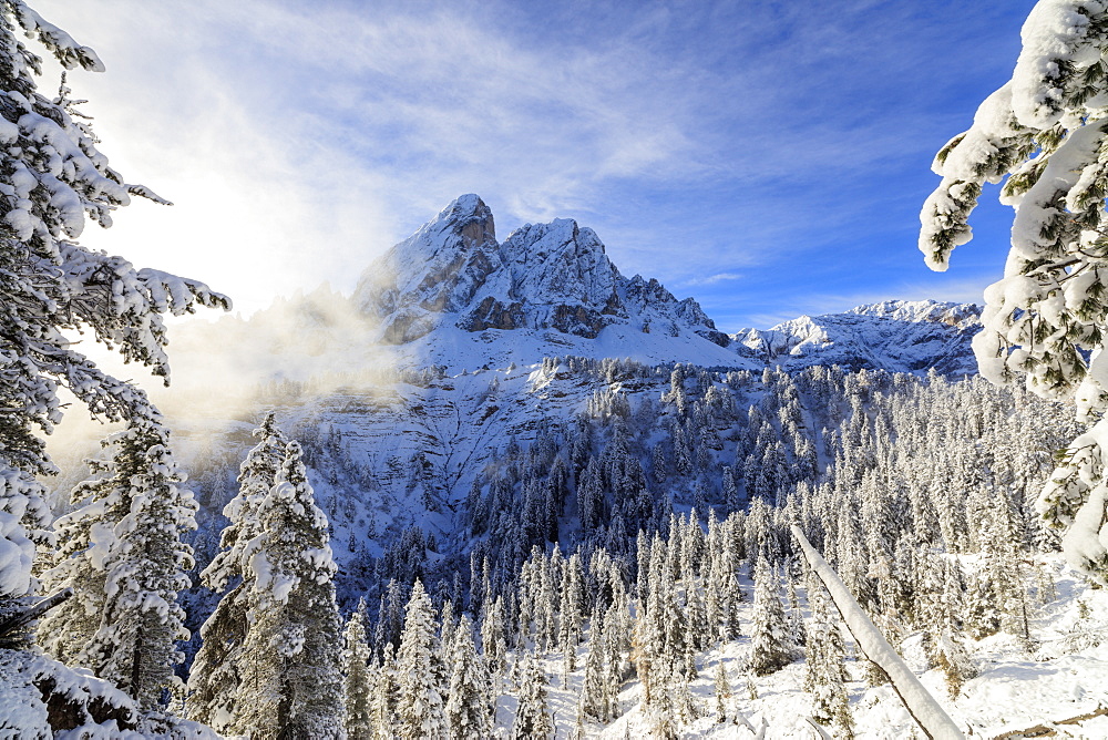 The sun illuminates the snowy trees and Sass De Putia in the background, Passo Delle Erbe, Funes Valley, South Tyrol, Italy, Europe