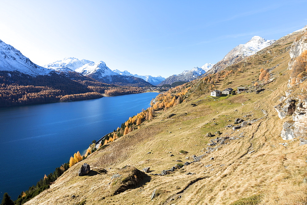 Colorful woods around Lake Sils and the mountain huts of Spluga, Sils, Maloja,  Canton of Graubunden, Swiss Alps, Switzerland, Europe