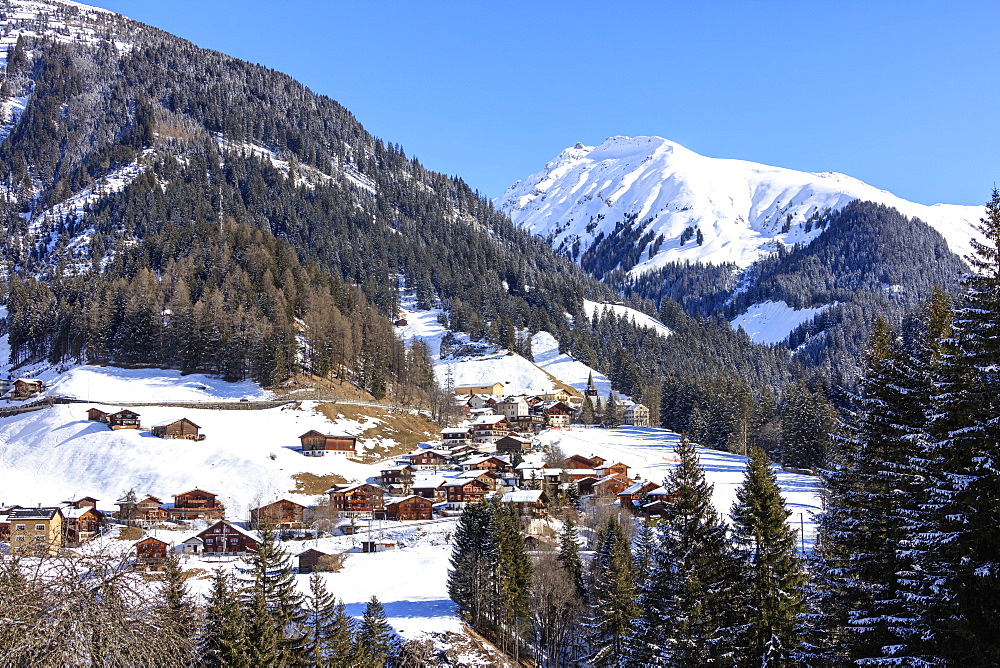 The alpine village of Langwies framed by woods and snowy peaks, district of Plessur, Canton of Graubunden, Swiss Alps, Switzerland, Europe