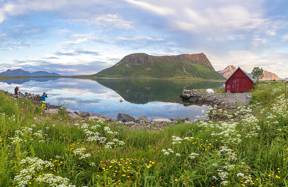 Flowers and grass frame the typical rorbu and peaks reflected in sea at night, Vengeren, Vagpollen, Lofoten Islands, Norway, Scandinavia, Europe