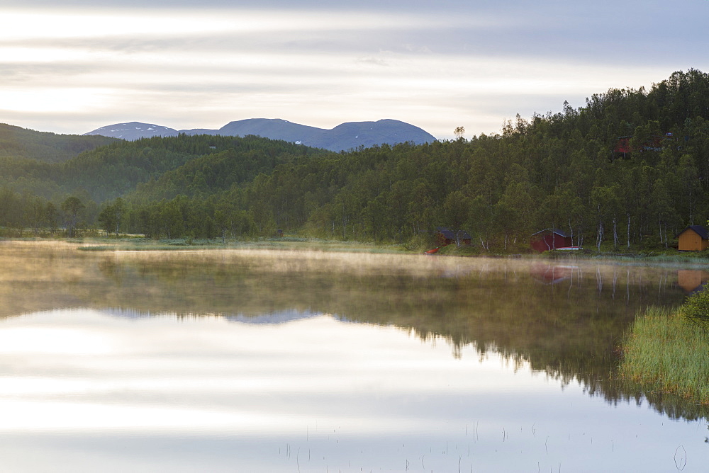 Green woods are reflected in the calm water of a swamp at night, Bogen, Evenes, Ofotfjorden, Nordland, Norway, Scandinavia, Europe