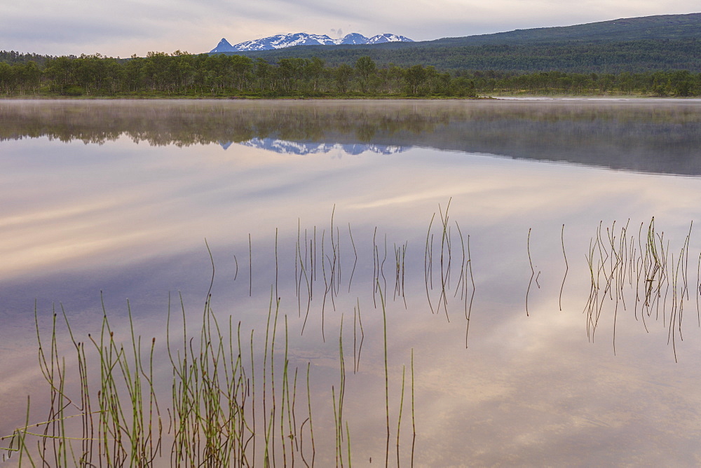 Pink clouds of the midnight sun reflected in the clear water of a swamp, Bogen, Evenes, Ofotfjorden, Nordland, Norway, Scandinavia, Europe