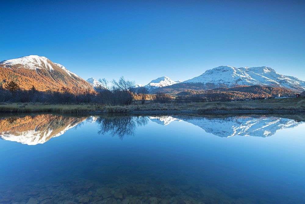 The snowy peaks and colorful woods reflected in Lake Champfer, St. Moritz, Canton of Graubunden, Engadine, Switzerland, Europe