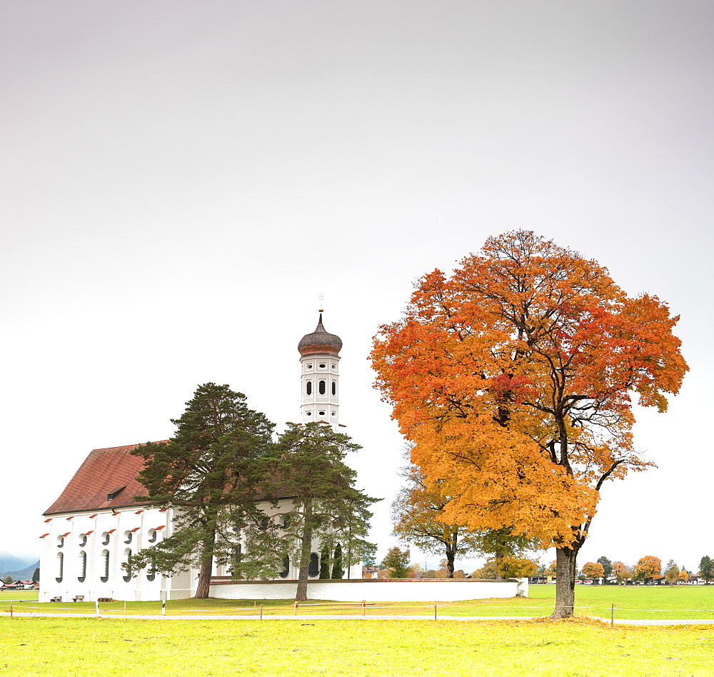 Autumn colors and trees surround St. Coloman Church at sunrise, Schwangau, Bavaria, Germany, Europe