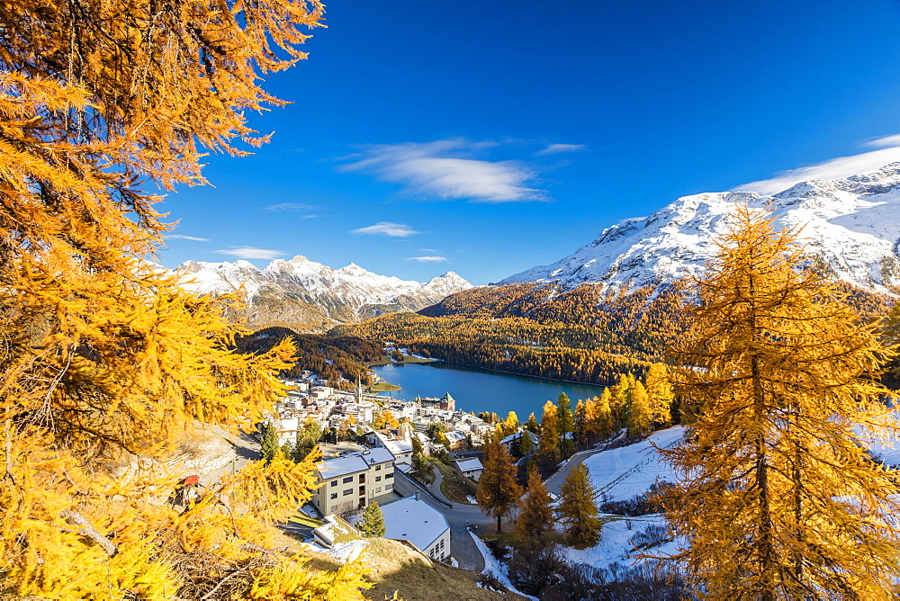 The alpine village of St. Moritz framed by colorful woods and the blue lake, Canton of Graubunden, Engadine, Switzerland, Europe