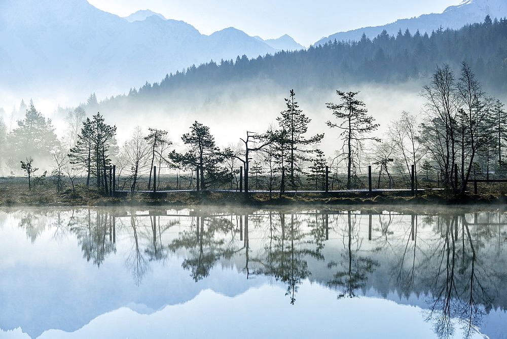 The sun illuminating the mist rising from the ponds of the Nature Reserve of Pian di Gembro early in the morning, Lombardy, Italy, Europe