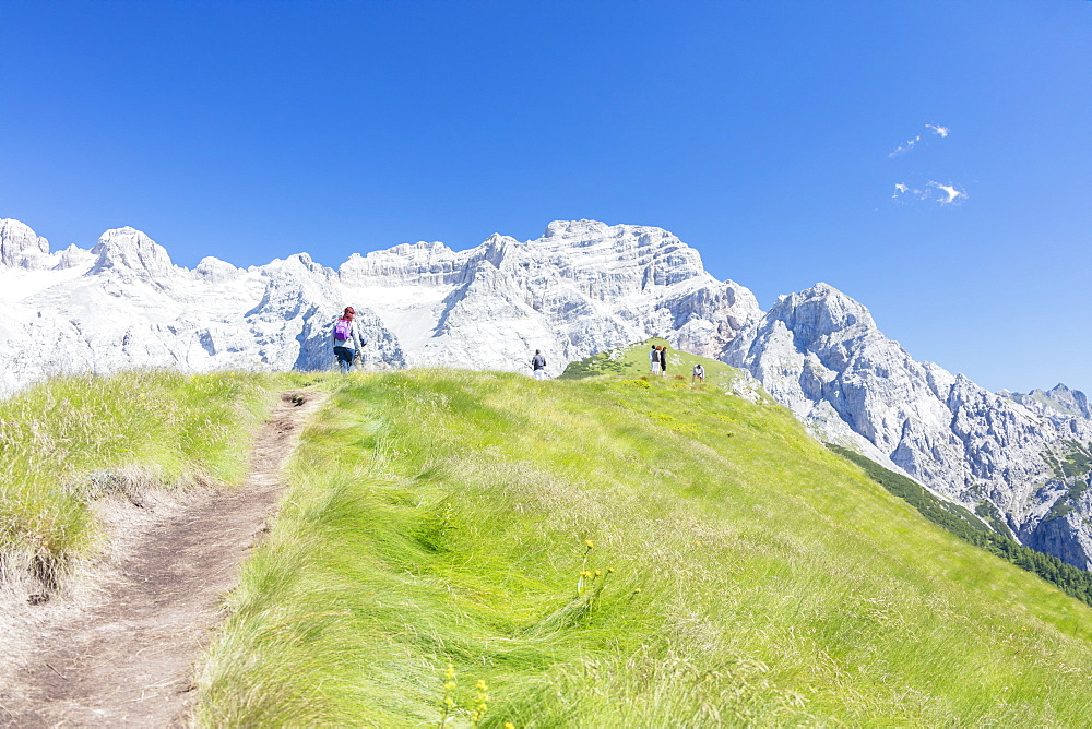 Hikers proceed on the path to the rocky peaks, Doss Del Sabion, Pinzolo, Brenta Dolomites, Trentino-Alto Adige, Italy, Europe