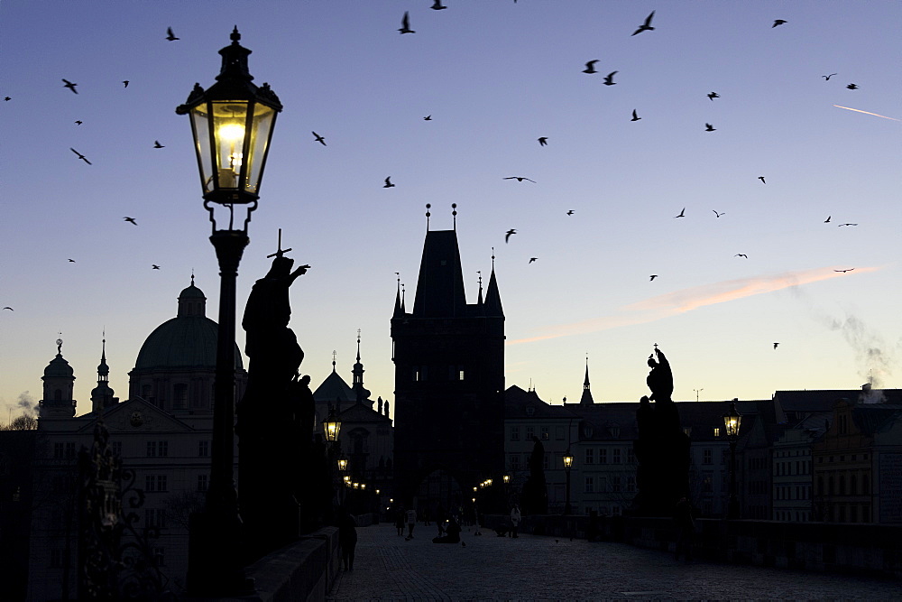 A flock of birds flies on the historical Charles Bridge on Vltava River at dawn, UNESCO World Heritage  Site, Prague, Czech Republic, Europe