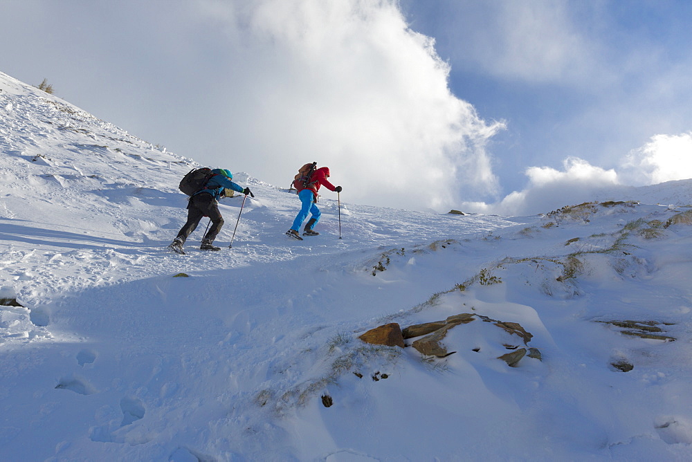 Hikers proceed in the snowy valley of Alpe Fora, Malenco Valley, Province of Sondrio, Valtellina, Lombardy, Italy, Europe