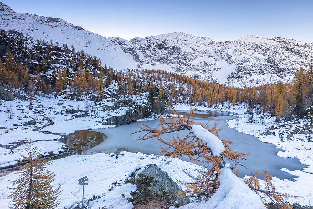 Red larches frame the frozen Lake Mufule, Malenco Valley, Province of Sondrio, Valtellina, Lombardy, Italy, Europe