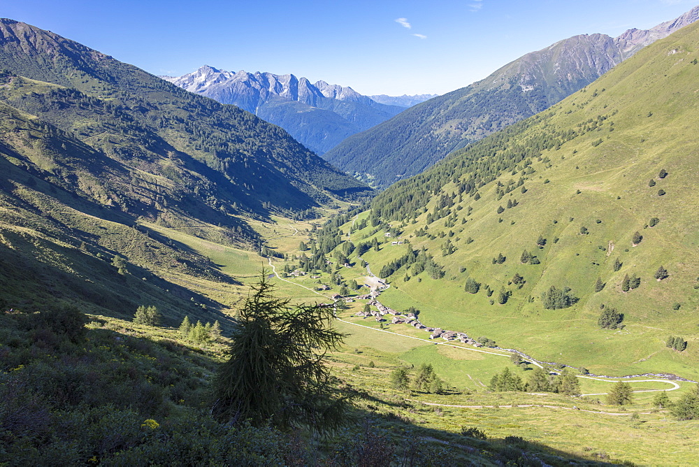 The typical alpine village of Case Di Viso surrounded by green meadows, Camonica Valley, province of Brescia, Lombardy, Italy, Europe